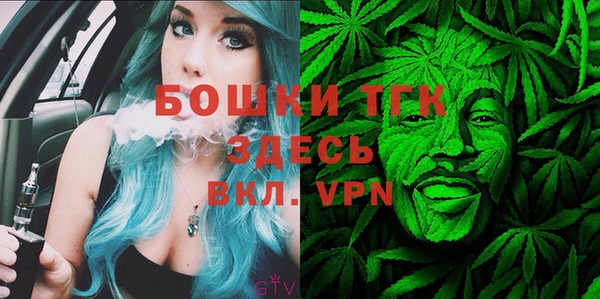 эйфоретик Пересвет