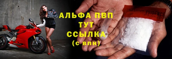 эйфоретик Пересвет