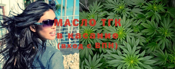 эйфоретик Пересвет