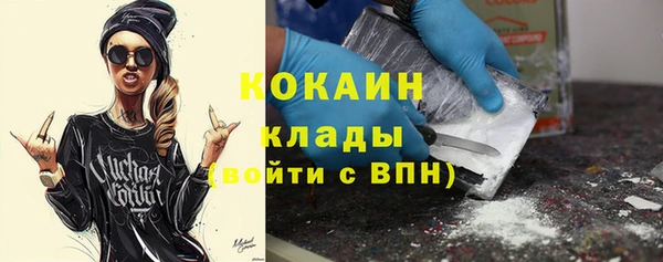 эйфоретик Пересвет