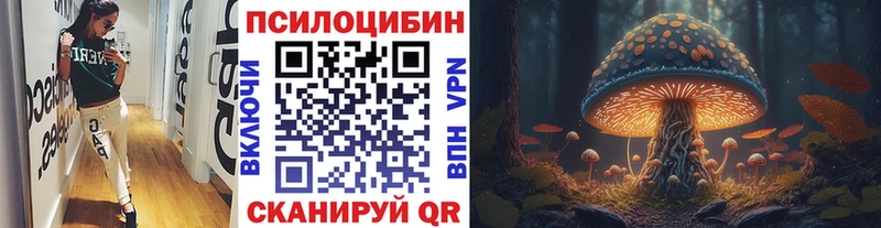 Псилоцибиновые грибы Cubensis  Ясногорск 
